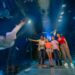 SEA LIFE Orlando invita a descubrir el fascinante mundo de los tiburones durante el “Summer of Sharks”