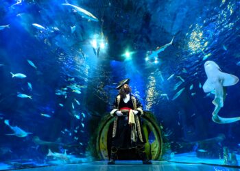 ¡Halloween se sumerge en el océano! Los piratas llegan a SEA LIFE Orlando este otoño