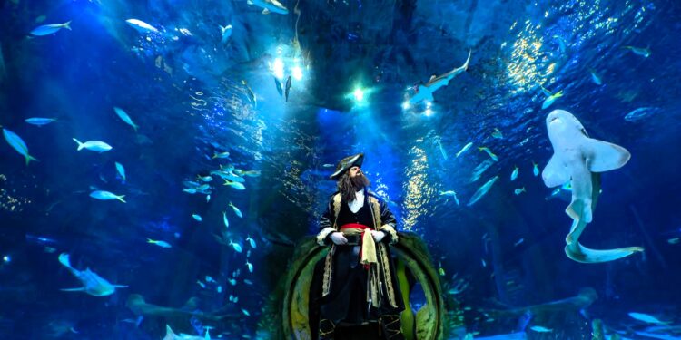 ¡Halloween se sumerge en el océano! Los piratas llegan a SEA LIFE Orlando este otoño