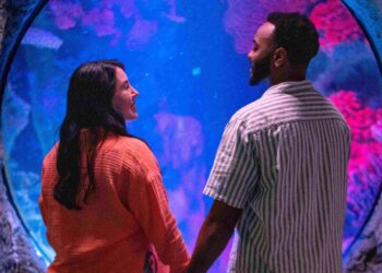SEA LIFE Orlando invita a brindar bajo el mar con “Fins & Flights”