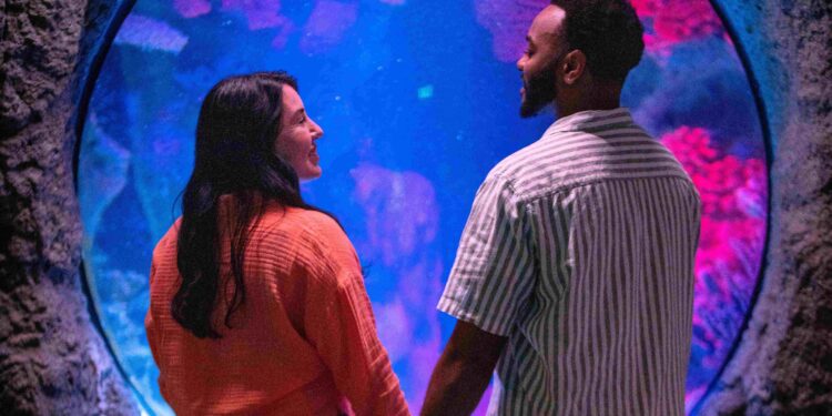 SEA LIFE Orlando invita a brindar bajo el mar con “Fins & Flights”