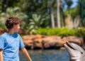 SeaWorld Orlando lanza pase anual 2027 con visitas ilimitadas y nuevos beneficios