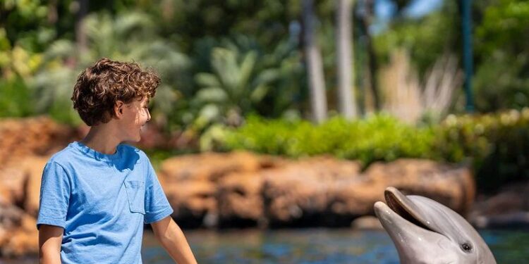 SeaWorld Orlando lanza pase anual 2027 con visitas ilimitadas y nuevos beneficios
