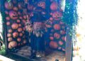 Gatorland vuelve a celebrar Halloween con “Gators, Ghosts & Goblins”