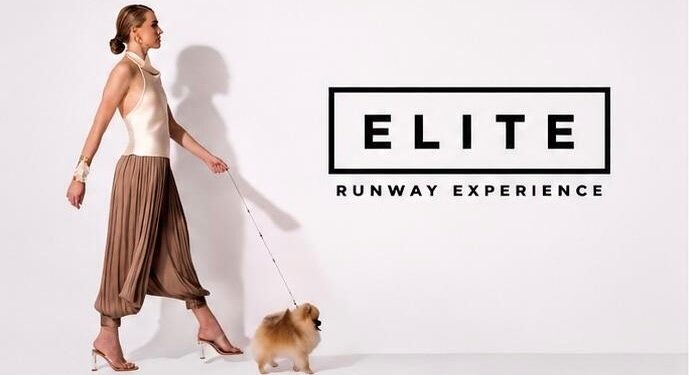Elite Runway Experience: Una Fusión Única de Moda y Competencias Caninas de Lujo Debutará en Orlando