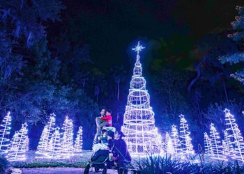 Dazzling Nights regresa a Orlando con más luces, música y magia navideña