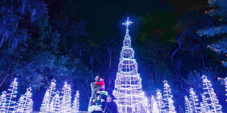 Dazzling Nights regresa a Orlando con más luces, música y magia navideña
