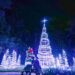 Dazzling Nights regresa a Orlando con más luces, música y magia navideña