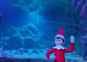 SEA LIFE Orlando invita a las familias a salvar la Navidad con una aventura submarina