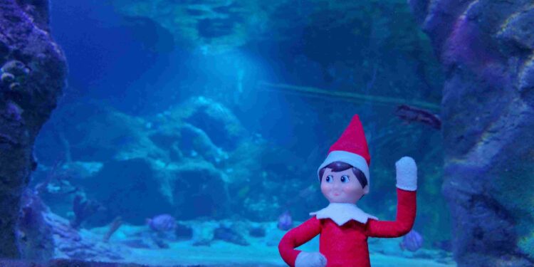 SEA LIFE Orlando invita a las familias a salvar la Navidad con una aventura submarina